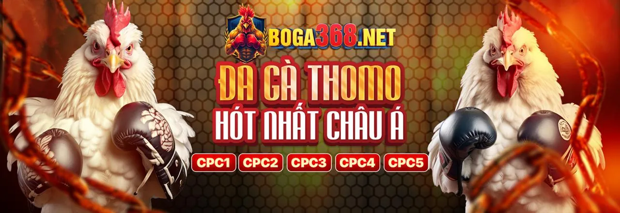 Đá Gà Trực Tuyến K9CC APK 2026